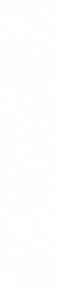 WebDesign